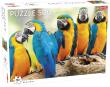 Opakowanie Puzzle Parrots 500