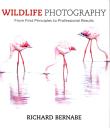 Wildlife Photography. Autor: Bernabe Richard. Dadada.pl Okładka książki Wildlife Photography