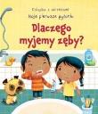 Dlaczego myjemy zęby? Moje pierwsze pytania. Autor: Katie Daynes, Marta Alvarez Miguens. Dadada.pl Okładka książki Dlaczego myjemy zęby? Moje pierwsze pytania