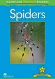 Factual: Spiders 4+. Autor: Claire Llewellyn. Dadada.pl Okładka książki Factual: Spiders 4+
