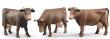 Opakowanie Figurka krowy brązowej w trzech pozach