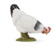 Opakowanie Kura biała dziobiąca