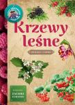 Młody obserwator przyrody. Krzewy leśne.. Autor: Tomasz Hryniewicki. Dadada.pl Okładka książki Młody obserwator przyrody. Krzewy leśne.