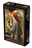 Opakowanie Puzzle 1000 Waterhouse, Dusza róży