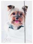 Opakowanie Teczka A4 z gumką Pets-12