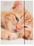 Opakowanie Teczka A4 z gumką Pets-15