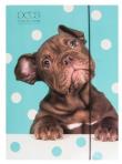 Opakowanie Teczka A4 z gumką Pets-16