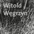 Witold Węgrzyn Nieuchwytna materialność. Autor: Witold Węgrzyn. Dadada.pl Okładka książki Witold Węgrzyn Nieuchwytna materialność