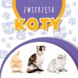 Wstęgi kartonowe. Koty. Autor:   Praca zbiorowa. Dadada.pl Okładka książki Wstęgi kartonowe. Koty