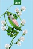 Opakowanie Kalendarz 2021 A5 tygodniowy Pea Pods NARCISSUS