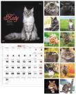 Opakowanie Kalendarz 2021 Albumowy Duży KOTY KAD-9