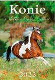Opakowanie Kalendarz 2022 Reklamowy Konie w obiektywie RW13