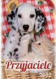 Opakowanie Kalendarz 2022 Ścienny Przyjaciele ARTSEZON