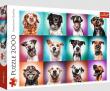 Opakowanie Puzzle 2000 Zabawne psie portrety II 27119