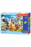 Opakowanie Puzzle 260 Afrykańskie selfie B-27552-1