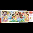 Opakowanie Puzzle 500 Panorama Powrót do świata Księżniczek 29514