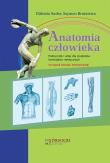 Anatomia człowieka. Autor: Suder Elżbieta, Brużewicz Szymon. Dadada.pl Okładka książki Anatomia człowieka