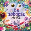 Co zobaczę na łące. Oglądaj, wskaż, zapamiętaj. Autor: Sylwia Kajdana. Dadada.pl Okładka książki Co zobaczę na łące. Oglądaj, wskaż, zapamiętaj