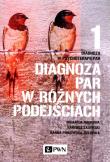 Diagnoza par w różnych podejściach. Autor: Hanna Pinkowska-Zielińska, Bartosz Zalewski. Dadada.pl Okładka książki Diagnoza par w różnych podejściach