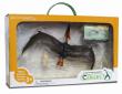 Opakowanie Dinozaur Pteranodon Deluxe Window Box