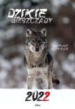 Kalendarz 2022 Dzikie Bieszczady. Autor: Matysiak Mateusz. Dadada.pl Okładka książki Kalendarz 2022 Dzikie Bieszczady