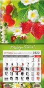 Opakowanie Kalendarz 2022 jednodzielny mini z mag. Truskawki