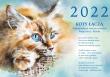 Opakowanie Kalendarz 2022 Koty