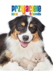 Opakowanie Kalendarz 2022 KSM-7 Przyjaciele AVANTI
