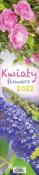 Kalendarz 2022 Paskowy - Kwiaty PP. Wydawca: Parma Press. Dadada.pl Opakowanie Kalendarz 2022 Paskowy - Kwiaty PP