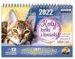 Opakowanie Kalendarz 2022 pocztówkowy Koty