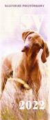 Opakowanie Kalendarz 2022 Pocztówkowy Psy ARTSEZON