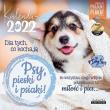 Opakowanie Kalendarz 2022 ścienny Classic Psy