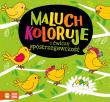 Maluch koloruje i ćwiczy spostrzegawczość. Autor: Opracowanie zbiorowe. Dadada.pl Okładka książki Maluch koloruje i ćwiczy spostrzegawczość