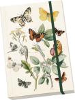 Opakowanie Notatnik ozdobny A5 STNOTE 85 Motyle
