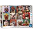 Opakowanie Puzzle 1000 Funny Dogs by Lucia Heffernan 6000-5523