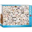 Opakowanie Puzzle 2000 The World of Dogs 8220-0581