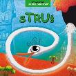 Okładka książki Struś