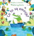 Co to są emocje? Książka z okienkami Ważne pytania. Autor: Katie Daynes, Christine Pym. Dadada.pl Okładka książki Co to są emocje? Książka z okienkami Ważne pytania