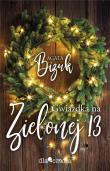 Gwiazdka na Zielonej 13. Autor: Bizuk Agata. Dadada.pl Okładka książki Gwiazdka na Zielonej 13