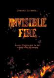 Invisible Fire. Memory, Tradition and the Self. Autor: Jurewicz Joanna. Dadada.pl Okładka książki Invisible Fire. Memory, Tradition and the Self
