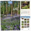 Opakowanie Kalendarz 2022 B3 7 plansz Las
