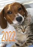 Opakowanie Kalendarz 2022 Nasi ulubieńcy A3-1