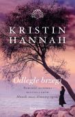 Odległe brzegi. Autor: Hannah Kristin. Dadada.pl Okładka książki Odległe brzegi