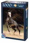 Opakowanie Puzzle 1000 Cętkowany koń