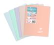 Opakowanie Zeszyt 17x22cm 48K linia Koverbook BLUSH PP 1 sztuka mix kolorów