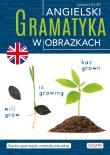 Angielski. Gramatyka w obrazkach. Autor: Opracowanie zbiorowe. Dadada.pl Okładka książki Angielski. Gramatyka w obrazkach