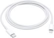 Apple USB-C to Lightning Cable (1 m). Autor: Irena Brignull. Dadada.pl Okładka książki Apple USB-C to Lightning Cable (1 m)