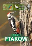 Atlas ptaków. Autor: Marchowski Dominik. Dadada.pl Okładka książki Atlas ptaków