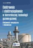 Okładka książki Elektrownie i elektrociepłownie w hierarchicznej technologii gazowo-gazowej
