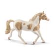 Opakowanie Klacz Paint horse Mare SLH13884
